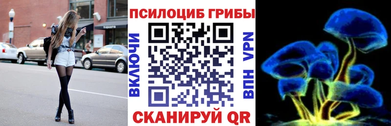 Купить где  Северодвинск  Галлюциногенные грибы Cubensis 