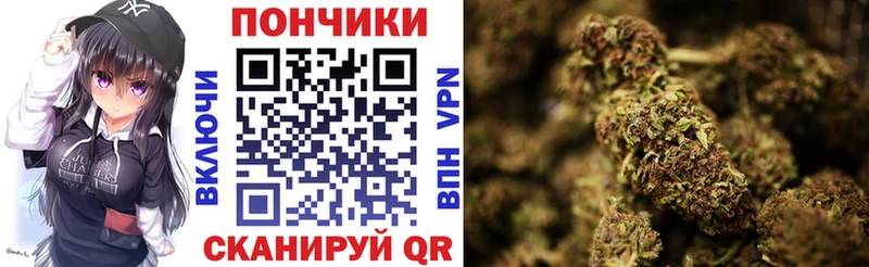 Шишки марихуана Amnesia  Купить закладки  Северодвинск 